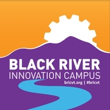 BRICVT logo